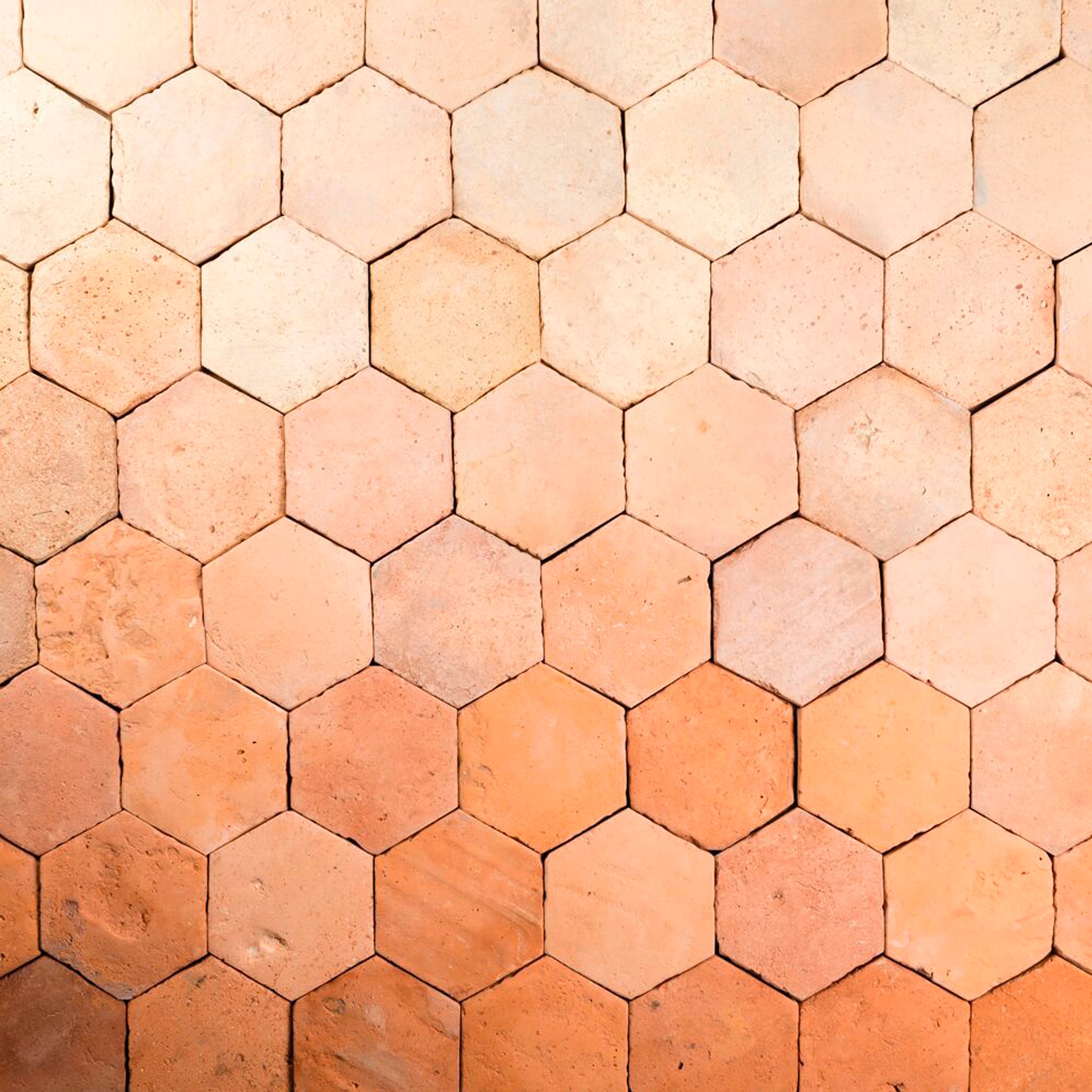 Hexagon Light & Dark