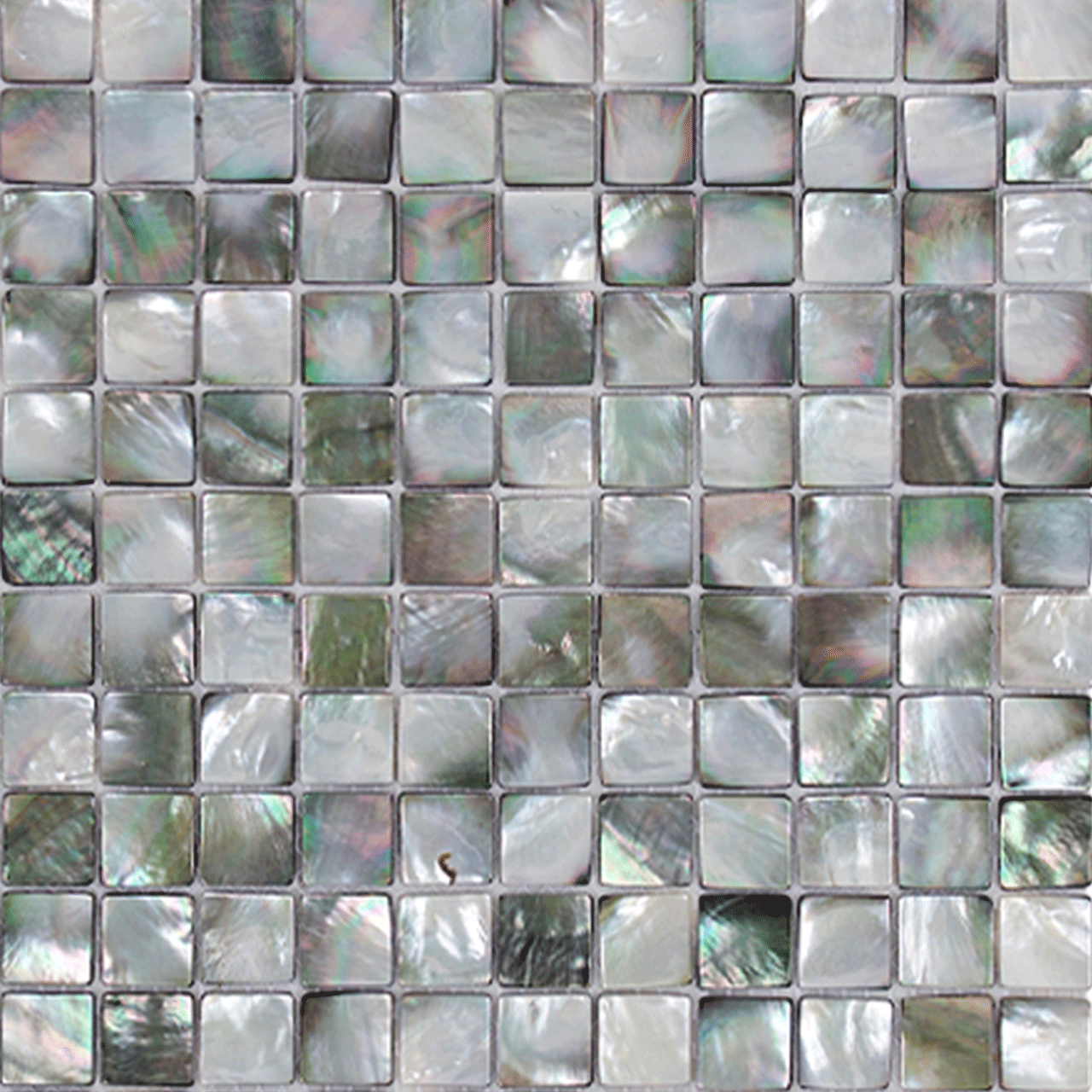 DL10179 Shell Mosaic Black Lipped Mussel Square