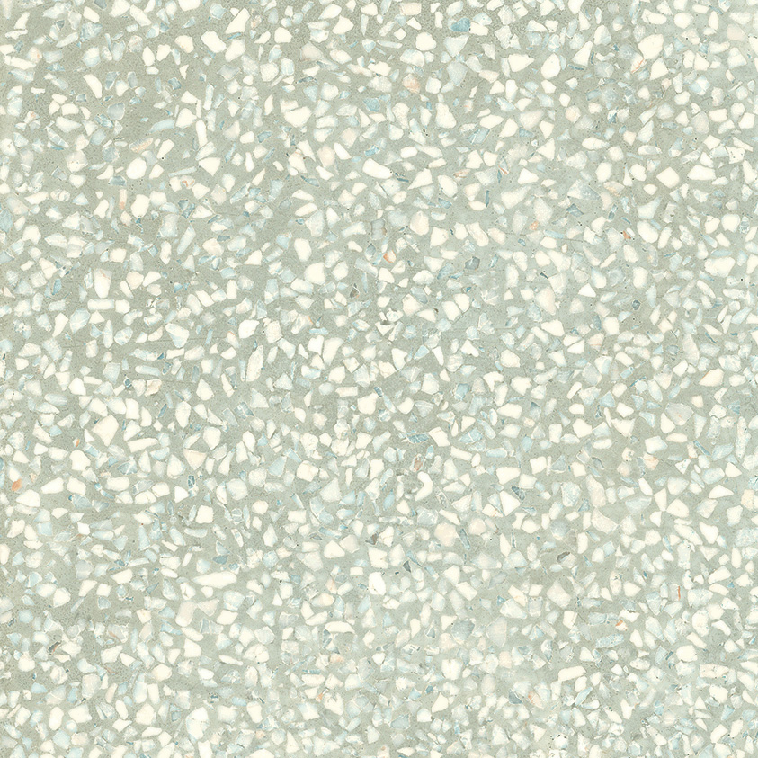 D-Segni Scaglie White