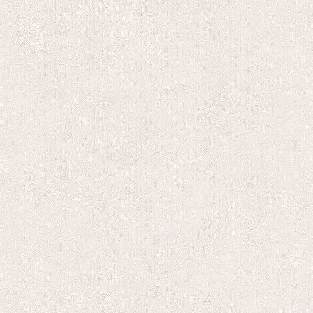 Light Grey Blur