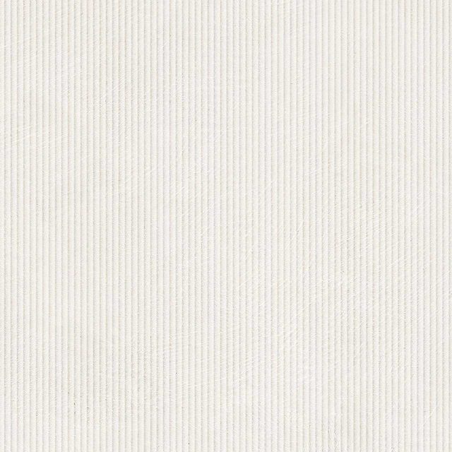 Light Grey Fade