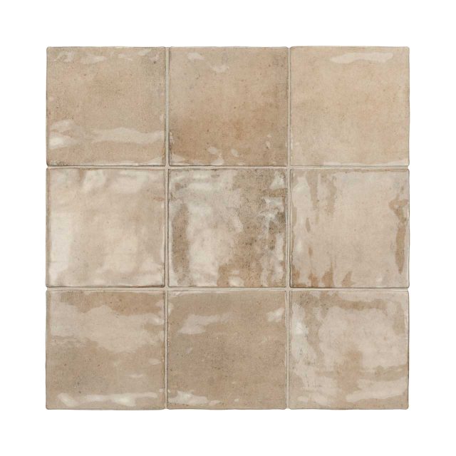 DT1561 Palmas Taupe Gloss